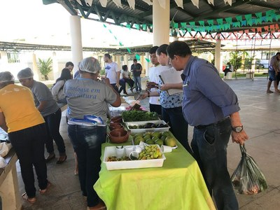 Experimento de feira livre ocorrido no Campus Amajari