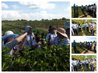 Alunos do curso Agricultor Familiar do CAB fazem visita técnica