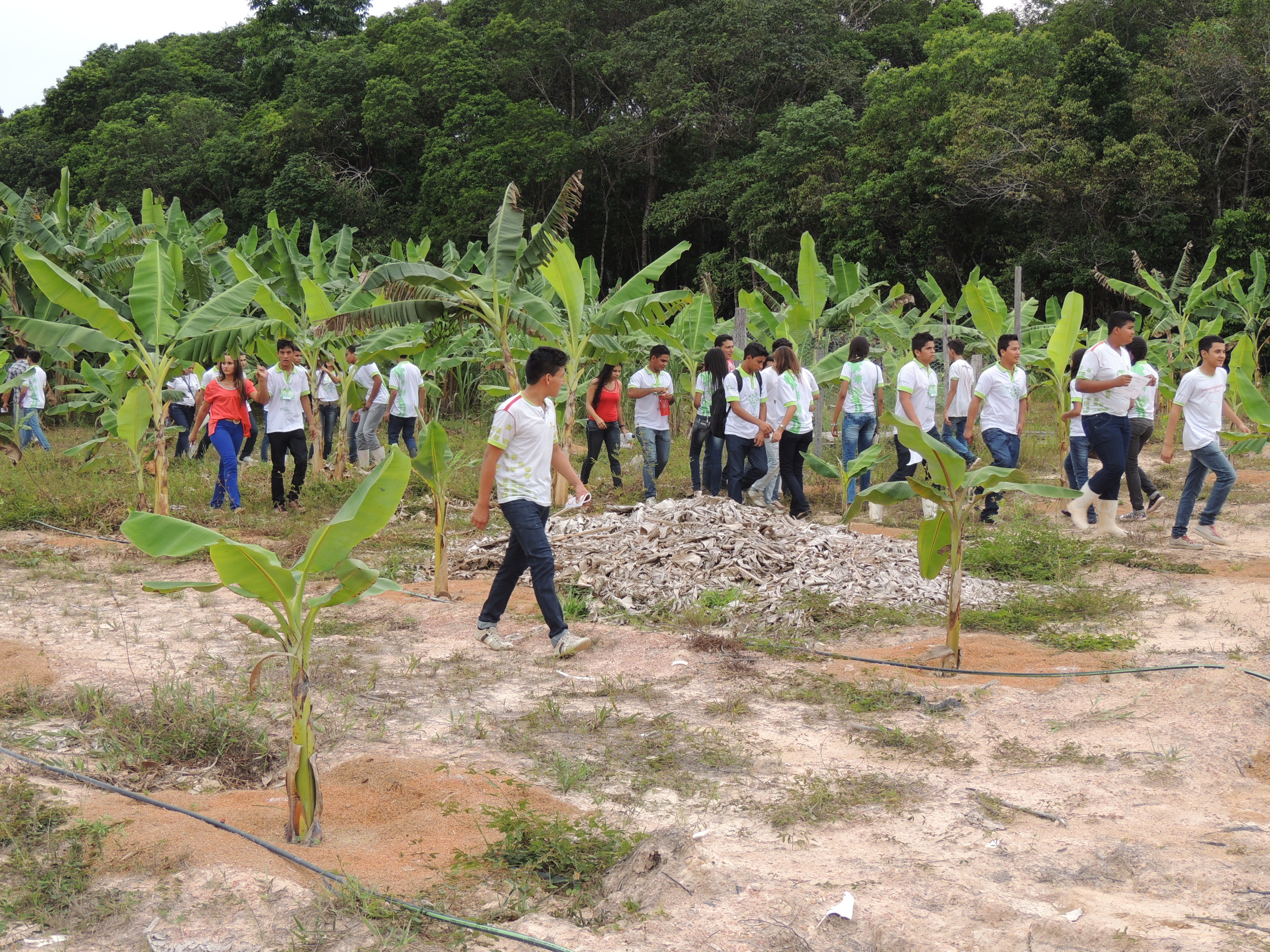 AGRONOMIA – Oficina do CNP abordará técnicas para autogestão do tempo e da aprendizagem