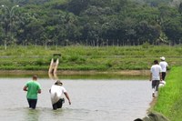 VAGAS REMANESCENTES – Inscrições em seletivo para curso técnico de Aquicultura do Campus Novo Paraíso podem ser feitas até esta terça-feira